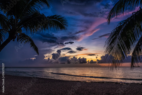 Sunset and palms