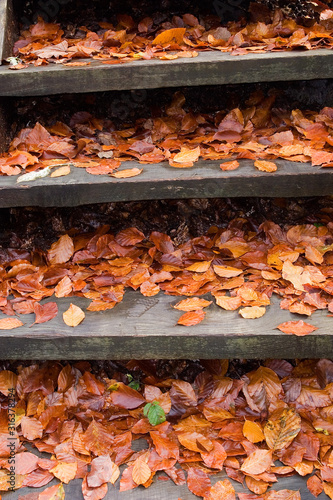Wooden stairs covered by fallen leaves in autumn