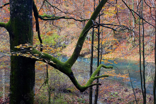 Autumn on the Kamačnik River, Croatia