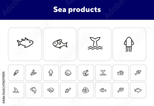 Sea products icon set. Seaanimal concept. Vector illustration can be used for topics like seafood, cuisine, cooking photo