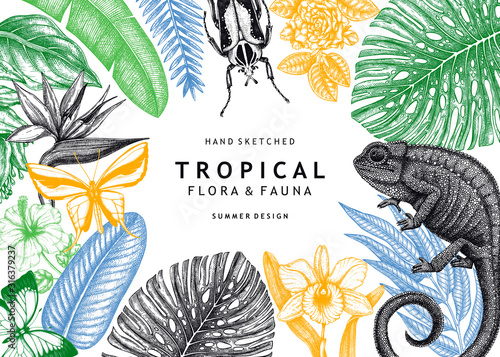 Tropical frame design. Vector background with hand drawn tropical plants, exotic flowers, palm leaves, insects and chameleon. Vintage wildlife banner. Summer template with tropical plants and animals.