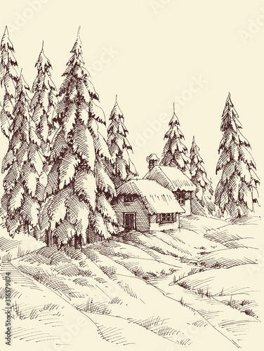A cabin in the pine forest in winter season hand drawing