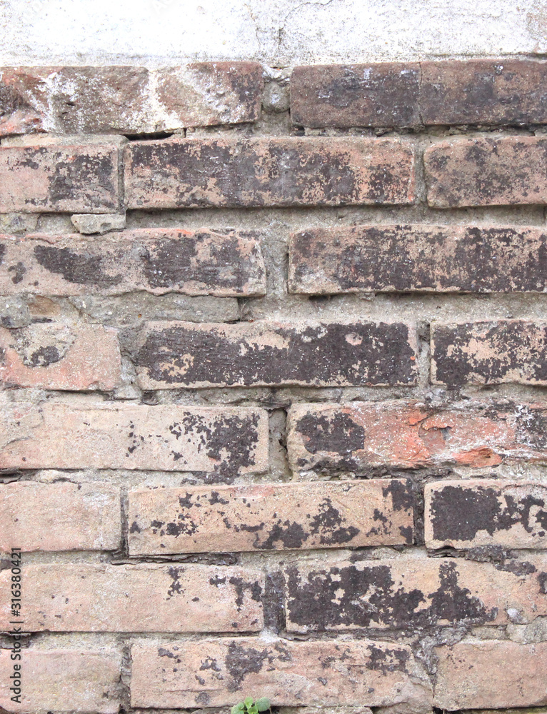 Naklejka premium the brick is old painted and the paint