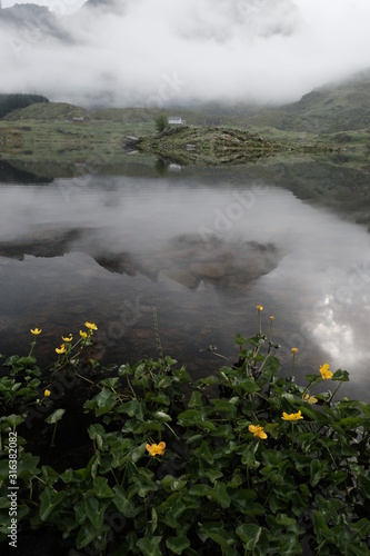 Ballstad is typical fishing village in lofoten islands, north of norway, vestvagoya island. Moody weather in lofoten in norway, fog, reflection, clouds photo