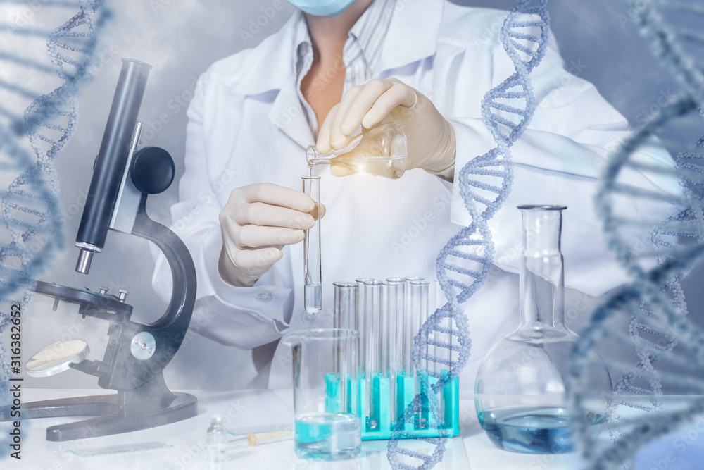 Fototapeta premium The concept of research and study DNA .