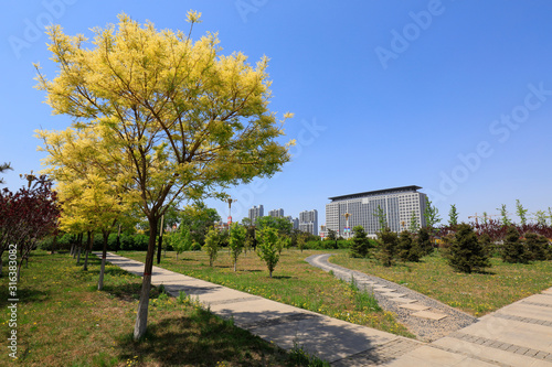 Flagstone Roads and Buildings in Cities, China