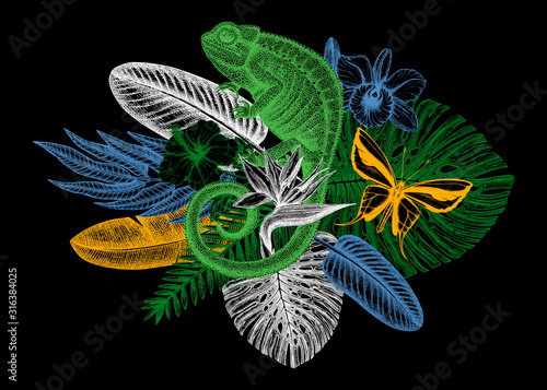Tropical design realistic chameleon drawing. Vector illustration with hand drawn tropical plants, exotic flowers, palm leaves, insects and chameleon. Vintage wildlife background. 