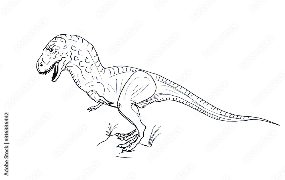 Fototapeta premium Hand drawn dinosaur Tyrannosaur on white background
