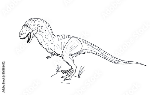 Hand drawn dinosaur Tyrannosaur on white background