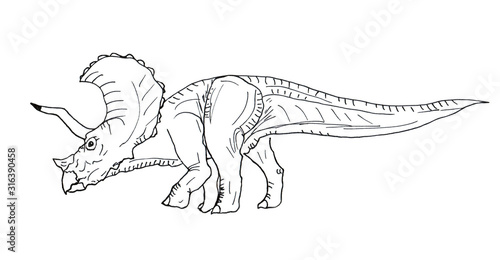 Hand drawn isolated dinosaur Triceratops