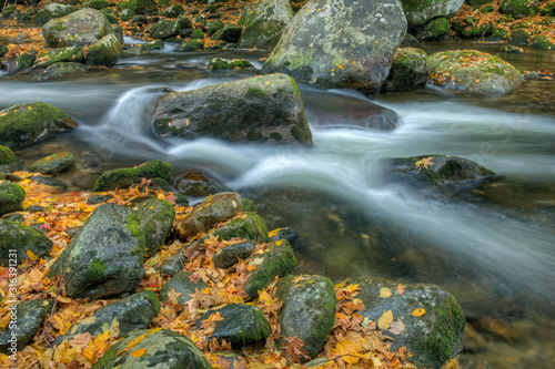 Autumn landscape of Big Creek framed by rocks and leaves and captured by motion blur, Great Smoky Mountains National Park, Tennessee, USA