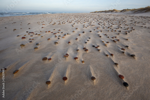 Obraz na płótnie Beautiful patterns created by the wind on the beach in the Slowinski National Park. Czolpino, Leba, Poland. w salonie