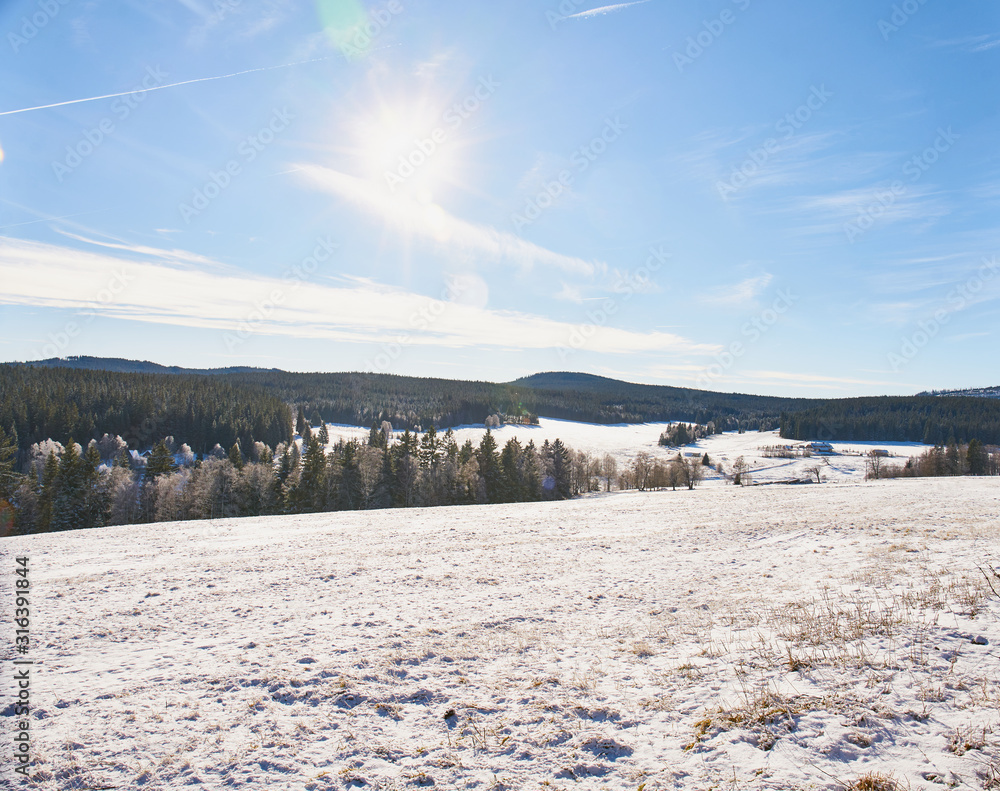 winter landscape near Kvilda in Sumava National Park on sunny winter day                             