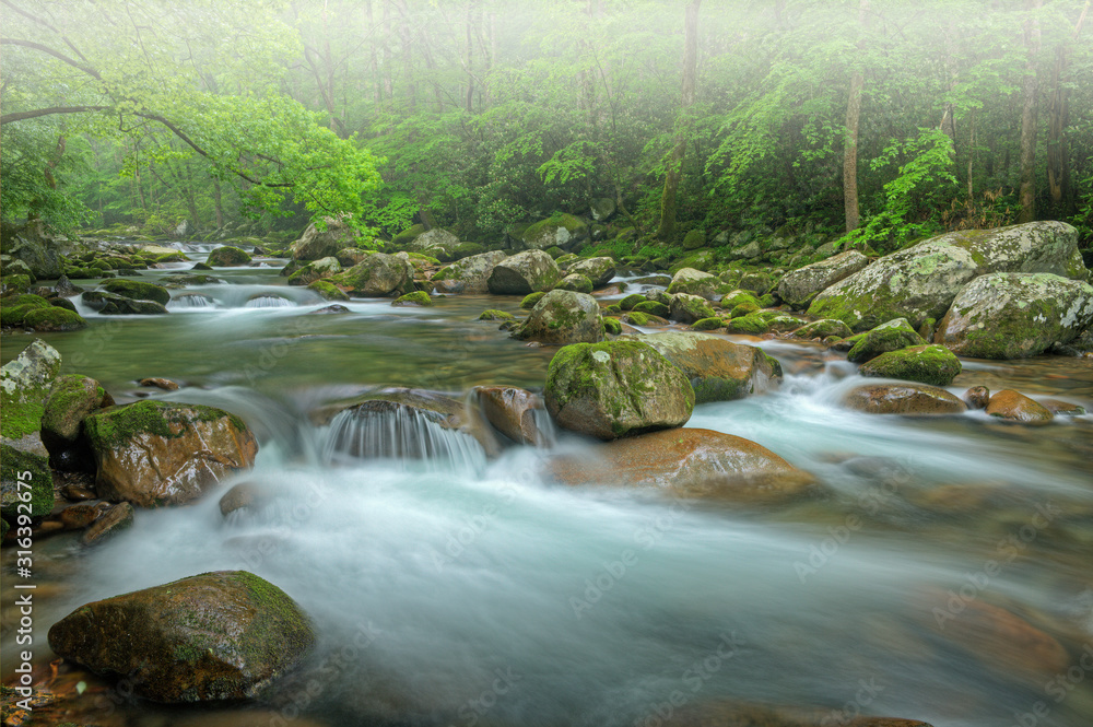 Foggy summer landscape of a cascade on Big Creek captured with motion blur, Great Smoky Mountains National Park, Tennessee, USA