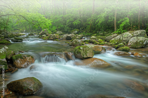 Foggy summer landscape of a cascade on Big Creek captured with motion blur  Great Smoky Mountains National Park  Tennessee  USA