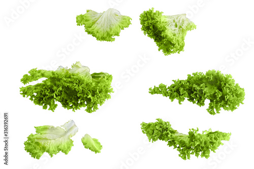 Lettuce leaves isolated on white background. Batavia salad. Top view