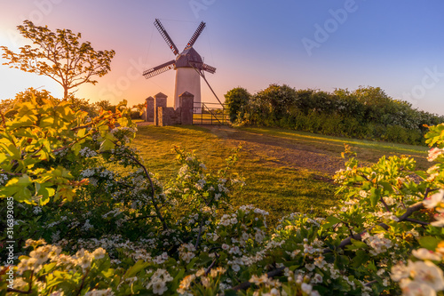 Traditional windmill at amazing sunrise with blooming flowers, Skerries, Ireland