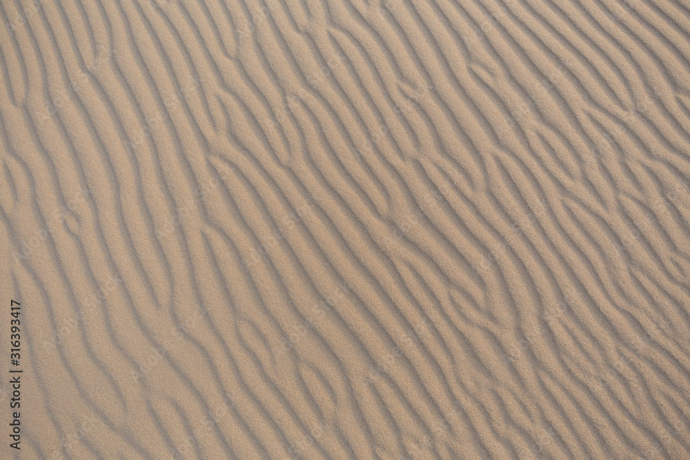 Sand waves on sand dunes in the Slowinski National Park. Czolpino, Leba, Poland