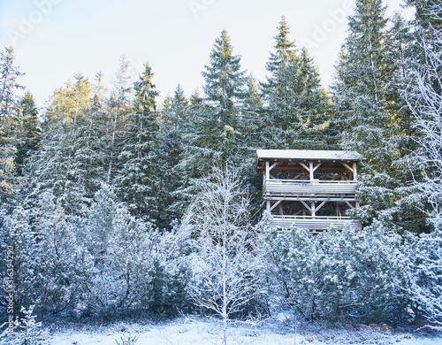 Look out tower at Jezerni Slat near Kvilda, Sumava National Park, on freezing sunny day                                photo