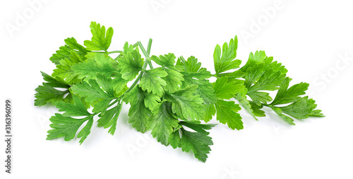 Parsley isolated on a white