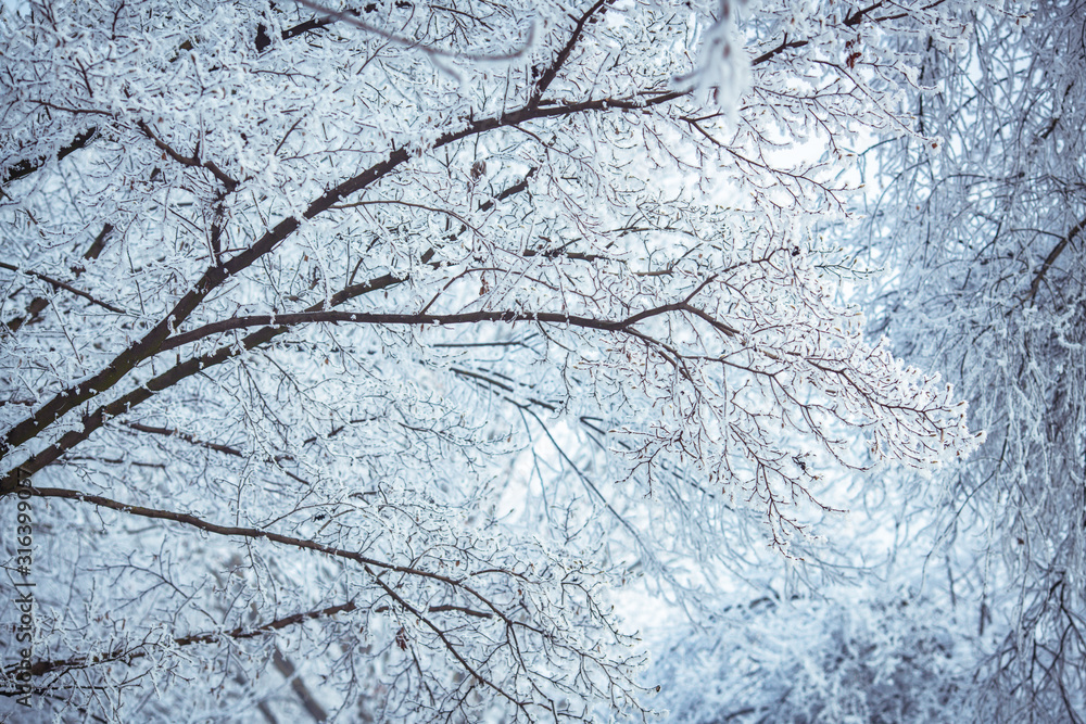 winter winter