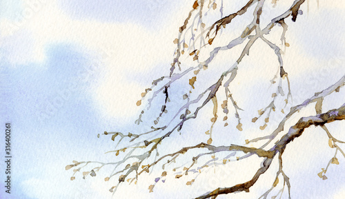 Φωτογραφία Watercolor landscape. Old bare tree