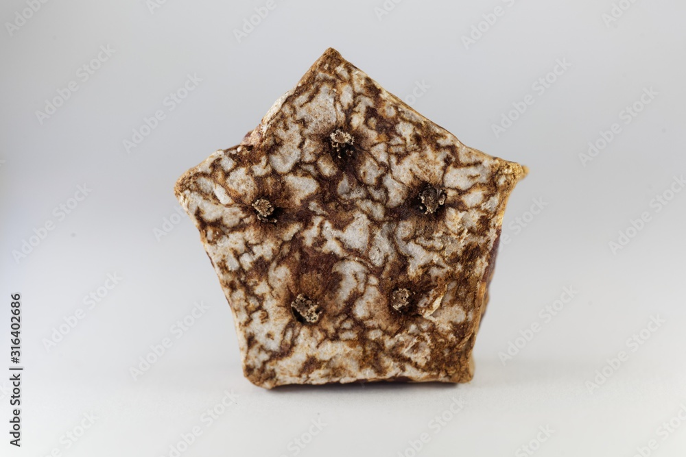 Slice of a dried Mehogni fruit Slice of a dried Mehogni fruit