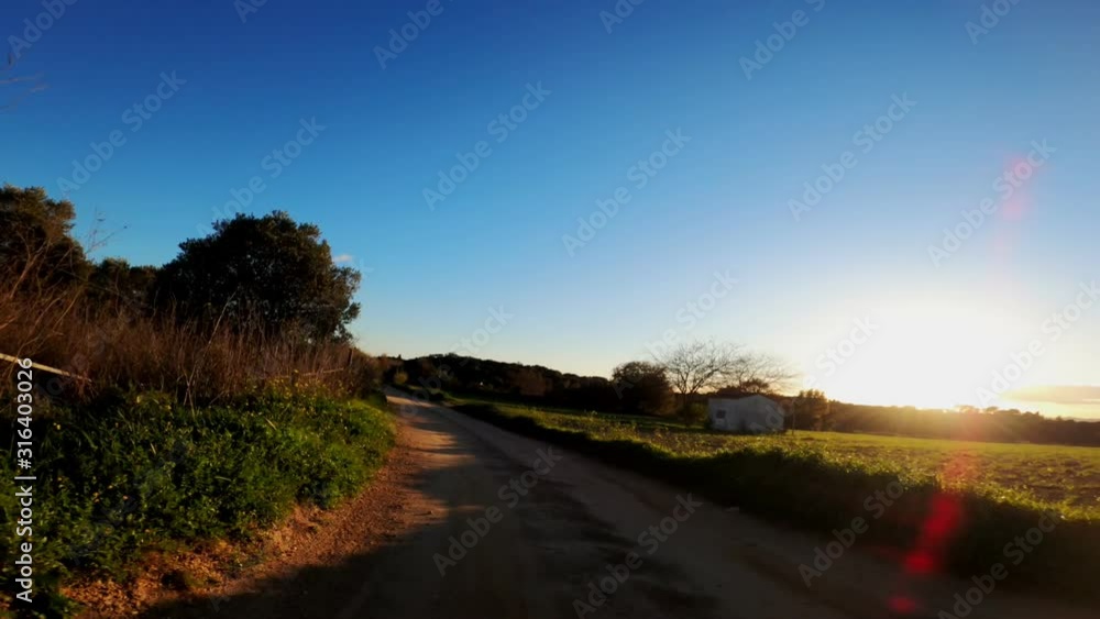 Rural road among fields, forests and meadows. View from the cyclist perspective. Picturesque countryside. Rural bike ride. Alleys, forests with pines and cypresses. Golden light. Rural road among fields, forests and meadows. View from the cyclist perspective. Picturesque countryside. Rural bike ride. Alleys, forests with pines and cypresses. Golden light.