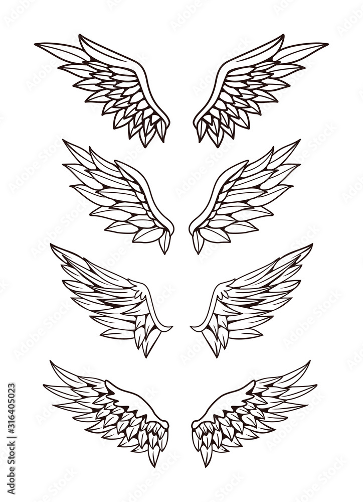 Fototapeta premium Set of wing illustration