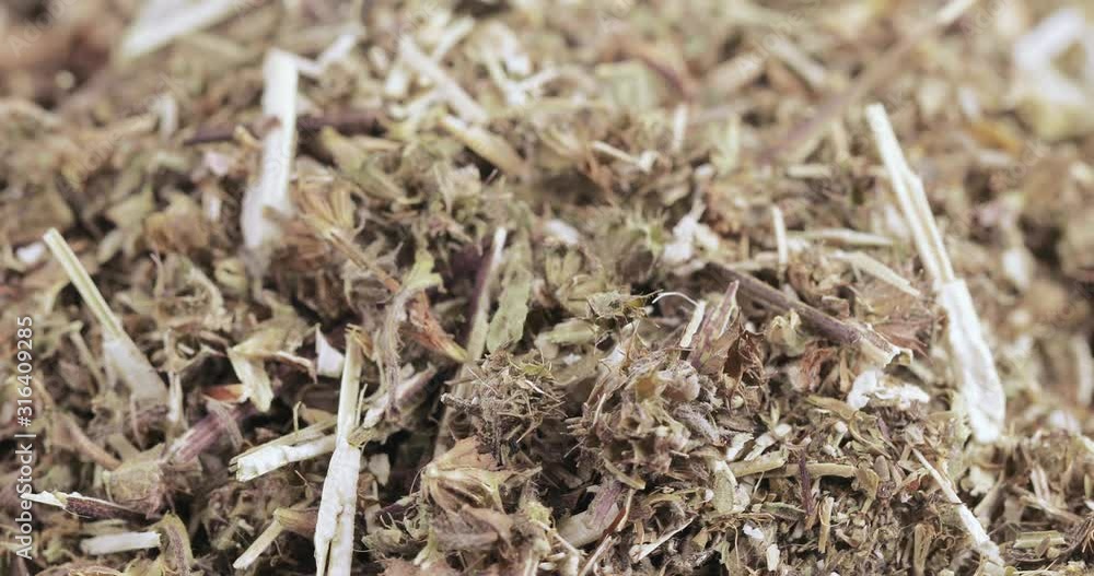 Motherwort grass in bulk Motherwort grass in bulk