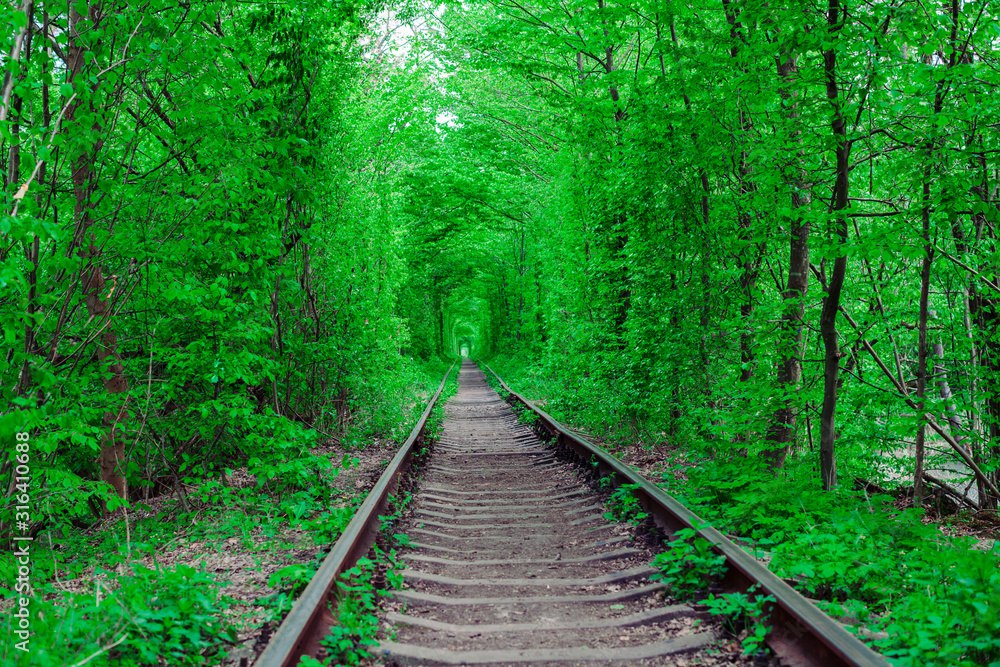 a railway in the spring forest tunnel of love a railway in the spring forest tunnel of love