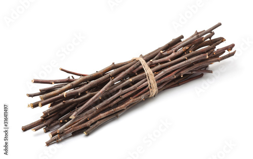 Photo Bunch of  of dry twigs