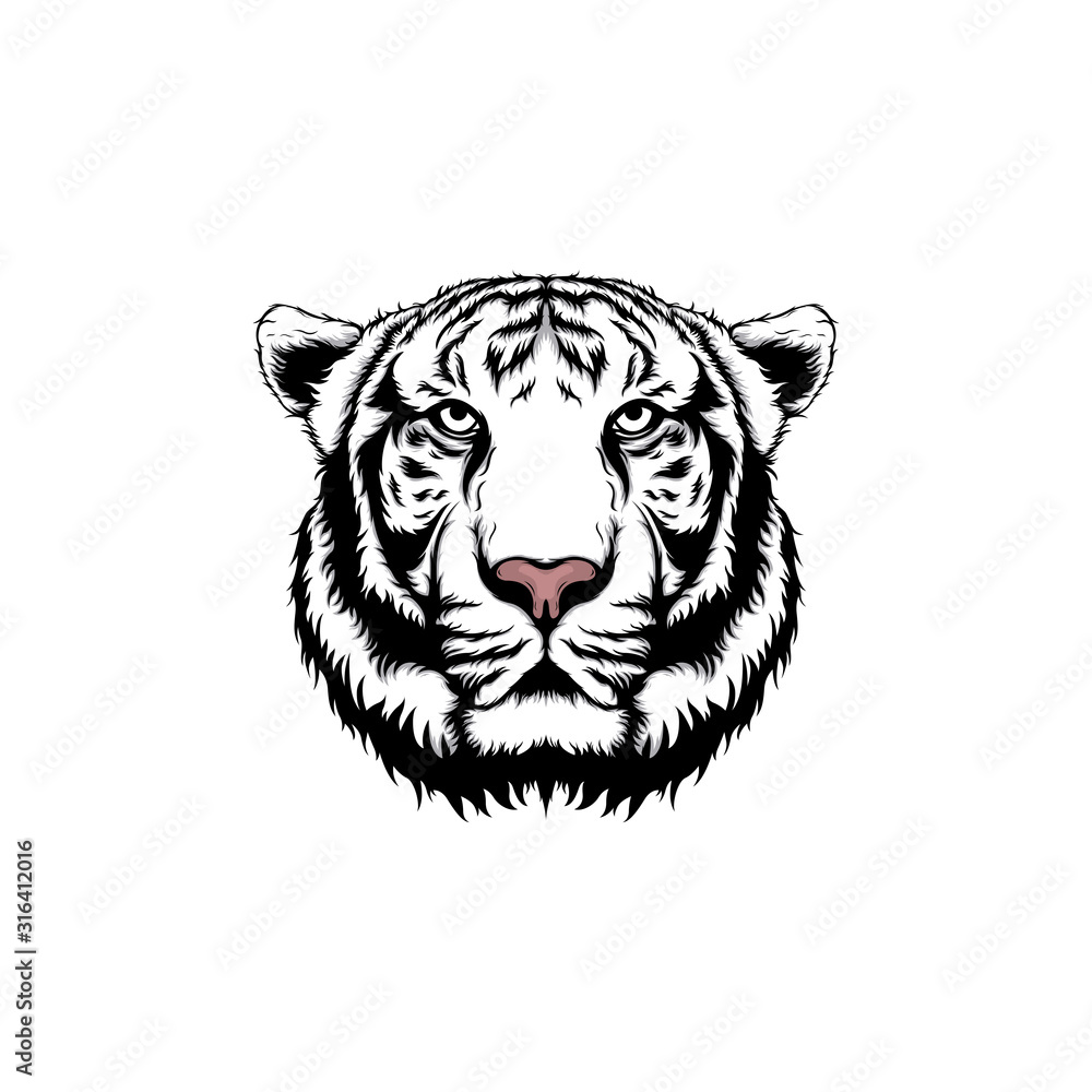 Fototapeta premium white tiger illustration isolated on white background
