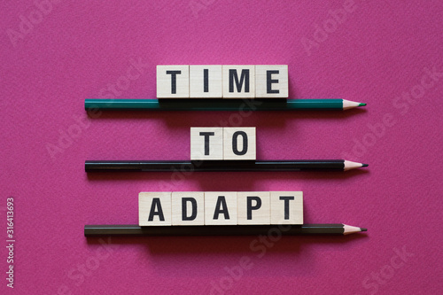 Tableau sur toile Time to Adapt word concept on cubes