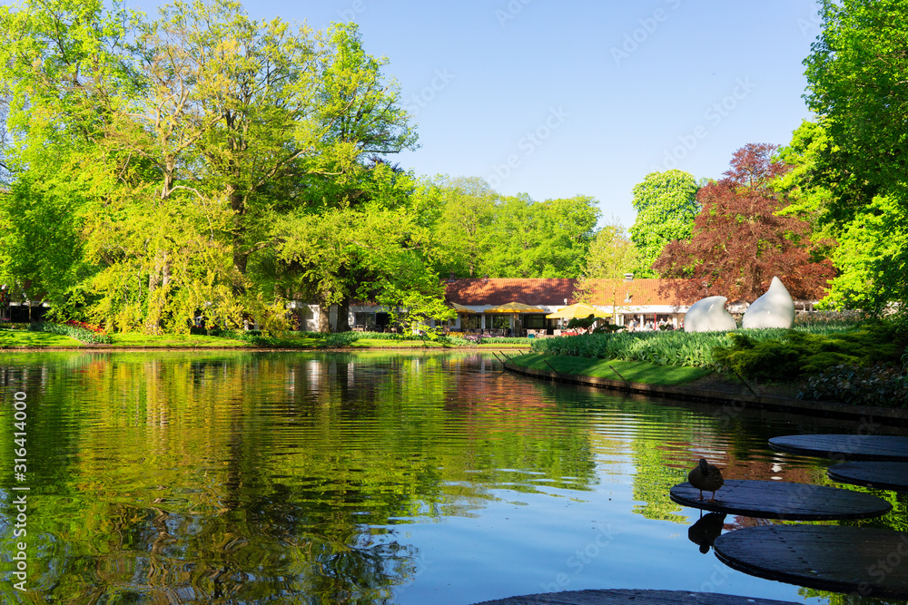 Obraz premium spring pond in park