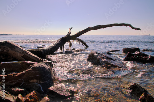 View of the ocean in Lazio - Italy with stones and an old tree trunk in the foreground