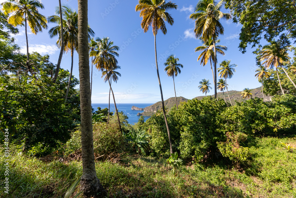 Soufriere, Saint Lucia, West Indies - View to the sea from Morne Courbaril botanical garden