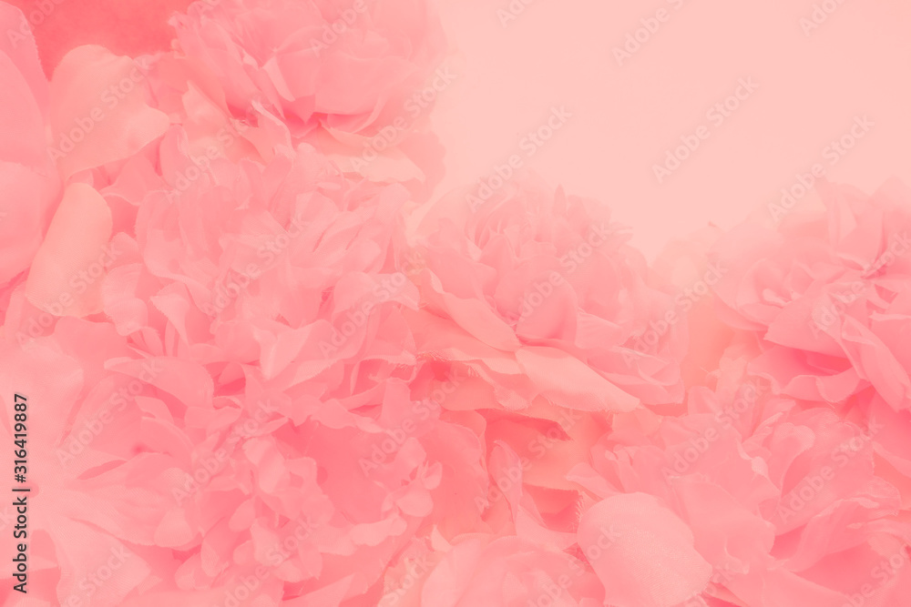 Beautiful abstract color white and pink flowers on white background and white flower frame and orange leaves background texture, flowers banner, pink background, colorful pink banner happy valentine d