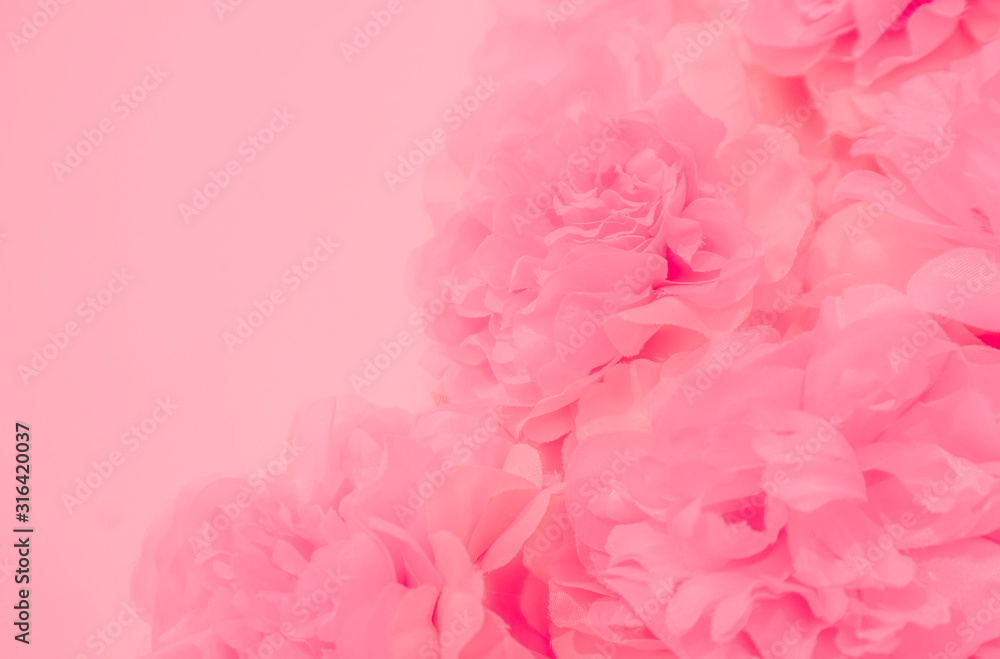 Beautiful abstract color white and pink flowers on white background and white flower frame and orange leaves background texture, flowers banner, pink background, colorful pink banner happy valentine d