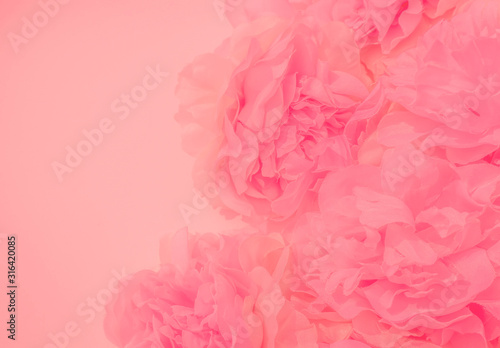 Beautiful abstract color white and pink flowers on white background and white flower frame and orange leaves background texture, flowers banner, pink background, colorful pink banner happy valentine d