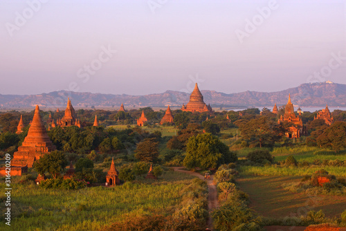 Beautiful colorful view of Bagan valley with temples during sunrise  Burma Myanmar