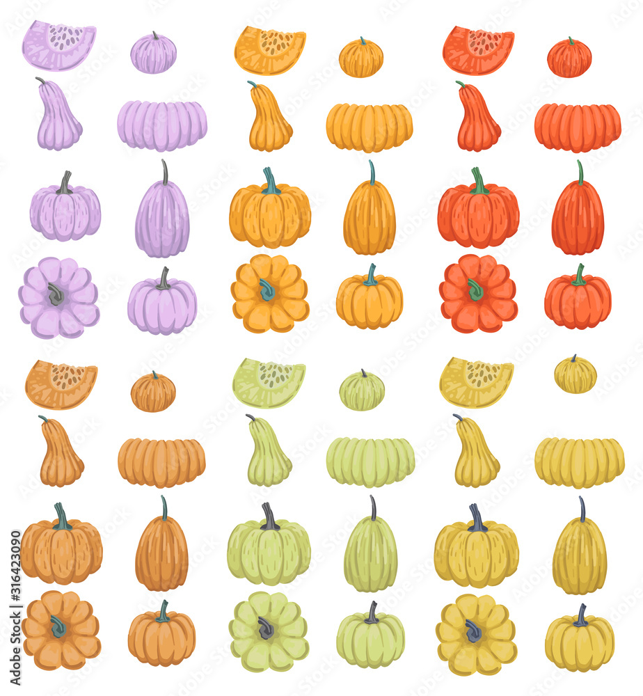Obraz premium Large set of colorful pumpkins of different sizes. Autumn set of vegetables.
