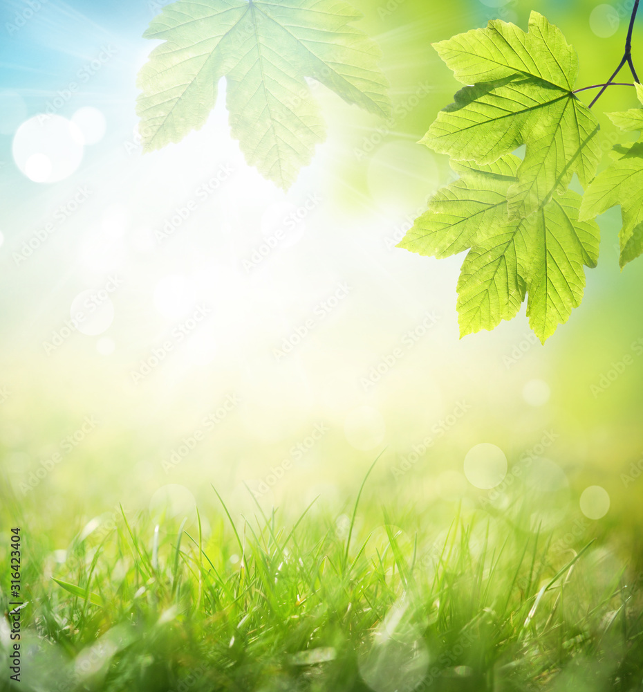 Obraz premium Background of green leaves and grass, summer or spring season. Background natural green plants landscape, ecology