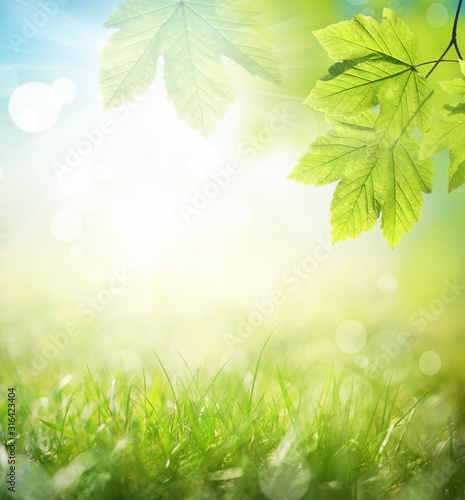 Background of green leaves and grass, summer or spring season. Background natural green plants landscape, ecology
