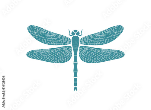 Dragonfly logo. Isolated dragonfly on white background