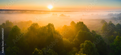 Picturesque sunrise over the forest. © alexugalek