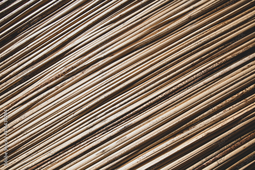 Background with reeds, diagonal, horizontal orientation. Background with reeds, diagonal, horizontal orientation.