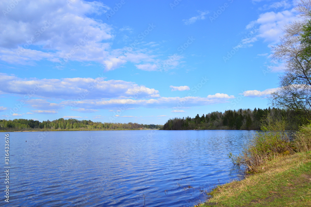 lake in the forest lake in the forest