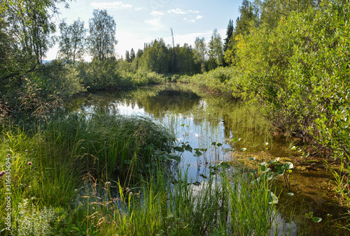 Summer in the Yugyd Va National Park. photo