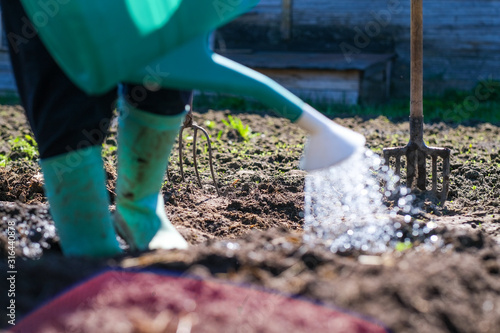 woman working in garden